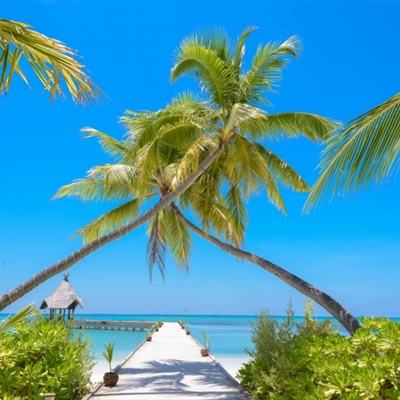 皇冠APP官方版下载安装下载手机版