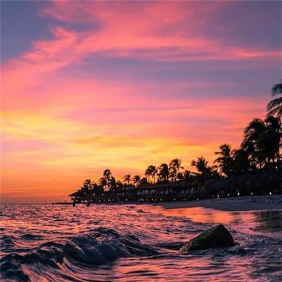 开元棋脾下载手机版