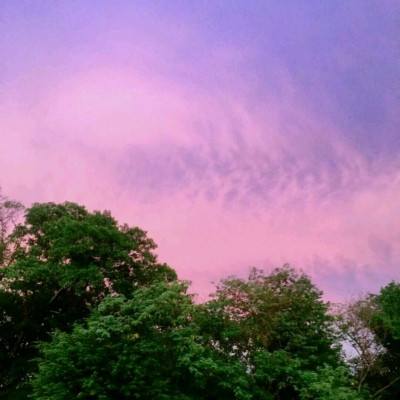 bet体育365官网正规