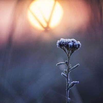 乐鱼彩票官网app下载截图