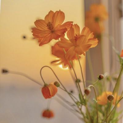 天博tb·综合体育