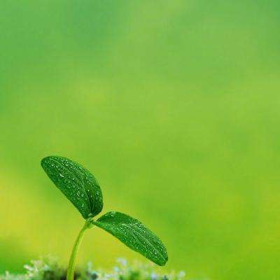 开元体育··官方网站