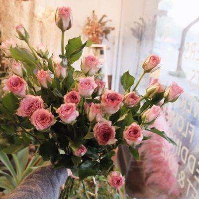 kaiyun体育全站下载手机版