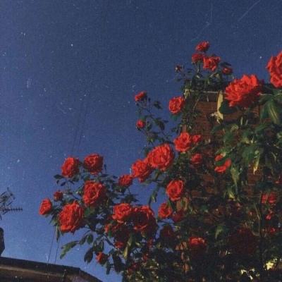 极速赛车社区合作平台