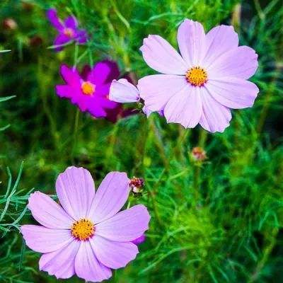 十大体育外围平台网址