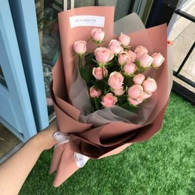 管家婆一码一肖资料手机app下载