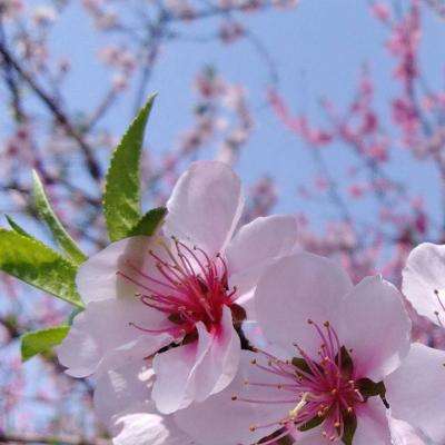 乐鱼彩票官网app下载